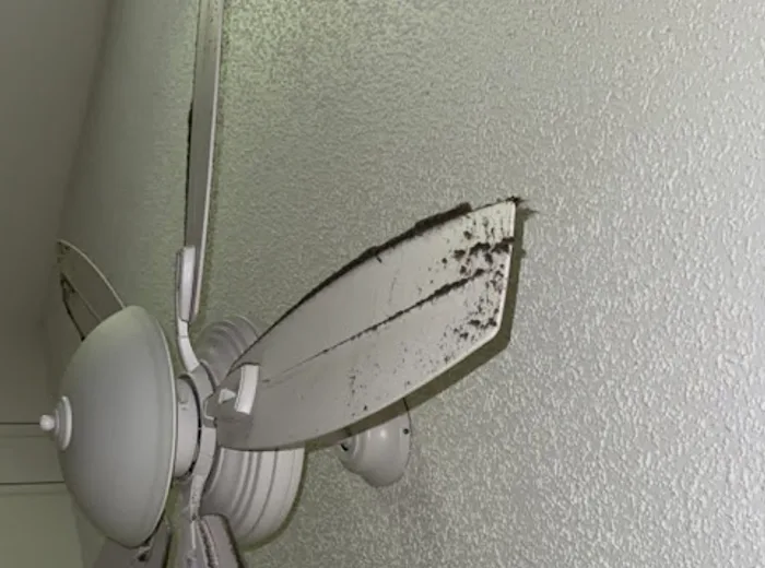 Ceiling fan with dust buildup before cleaning